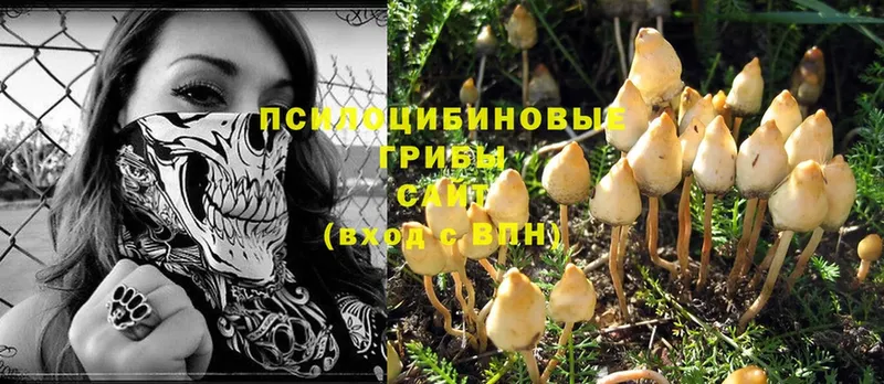 что такое наркотик  Жуковский  OMG ссылка  Псилоцибиновые грибы Magic Shrooms 